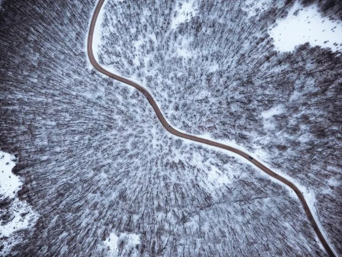 Seen from directly above, a winding road runs through a bare forest dusted with snow on Stara Planina.